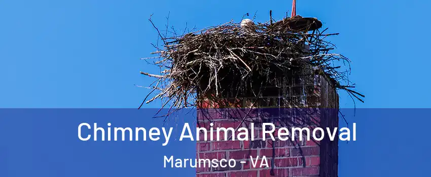 Chimney Animal Removal Marumsco - VA