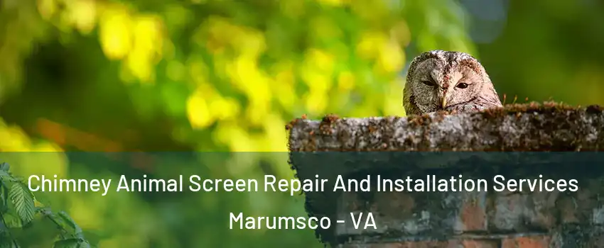  Chimney Animal Screen Repair And Installation Services Marumsco - VA
