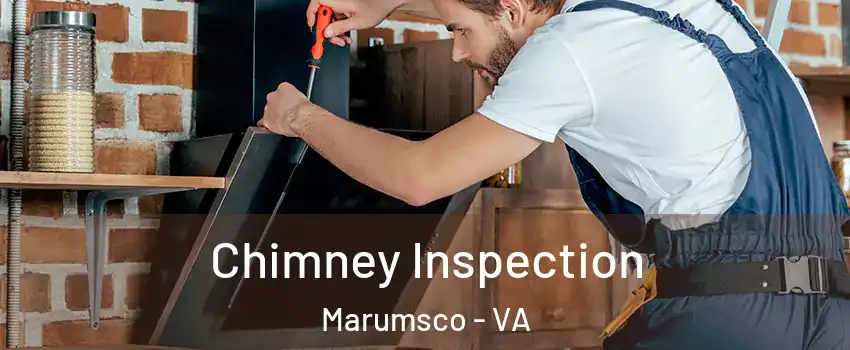  Chimney Inspection Marumsco - VA