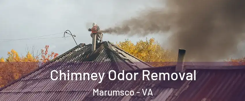  Chimney Odor Removal Marumsco - VA
