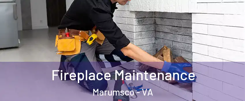  Fireplace Maintenance Marumsco - VA