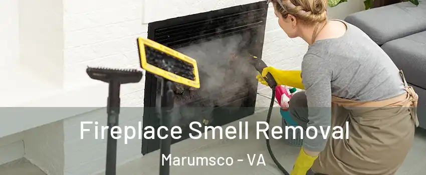  Fireplace Smell Removal Marumsco - VA