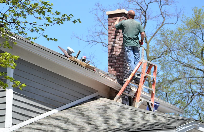 Chimney & Fireplace Inspections Services in Marumsco, VA