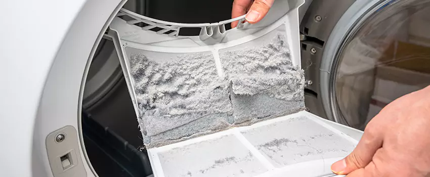 Best Dryer Lint Removal Company in Marumsco, Virginia