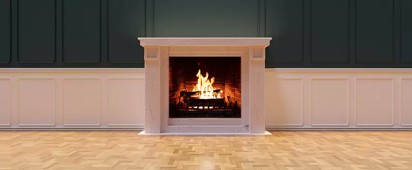 Napoleon Electric Fireplaces Inspection Service in Marumsco, Virginia