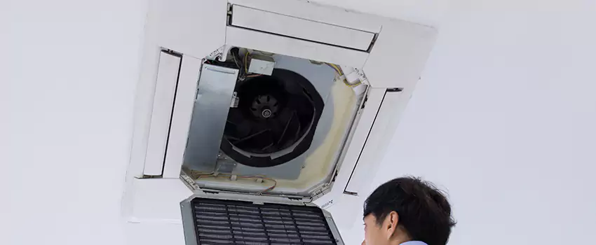 Benefits of Professional Air Duct Cleaning in Marumsco, Virginia