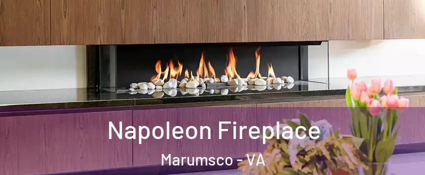  Napoleon Fireplace Marumsco - VA
